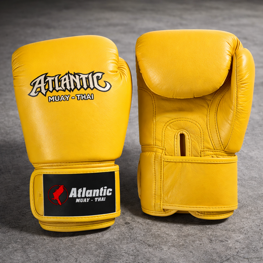 ATLANTIC MUAY-THAI RANKED GLOVES PRE-ORDER